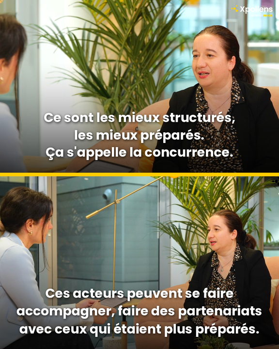 Carrousel slide 3